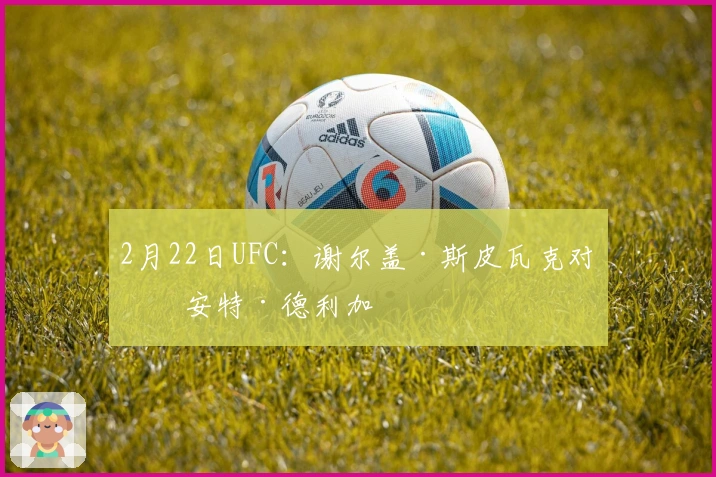 2月22日UFC：谢尔盖·斯皮瓦克对决安特·德利加
