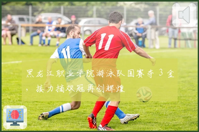 黑龙江职业学院游泳队国赛夺 3 金，接力摘双冠再创辉煌