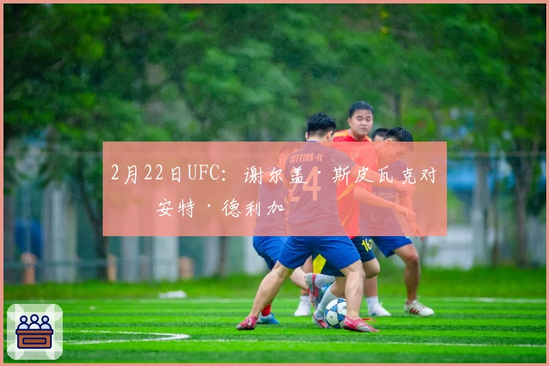 2月22日UFC：谢尔盖·斯皮瓦克对决安特·德利加