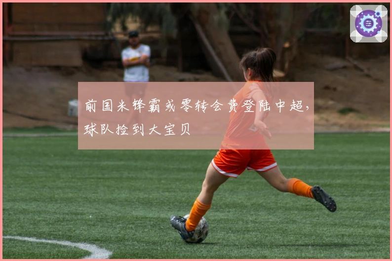 前国米锋霸或零转会费登陆中超,球队捡到大宝贝
