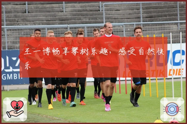 王一博畅享攀树乐趣,感受自然快乐